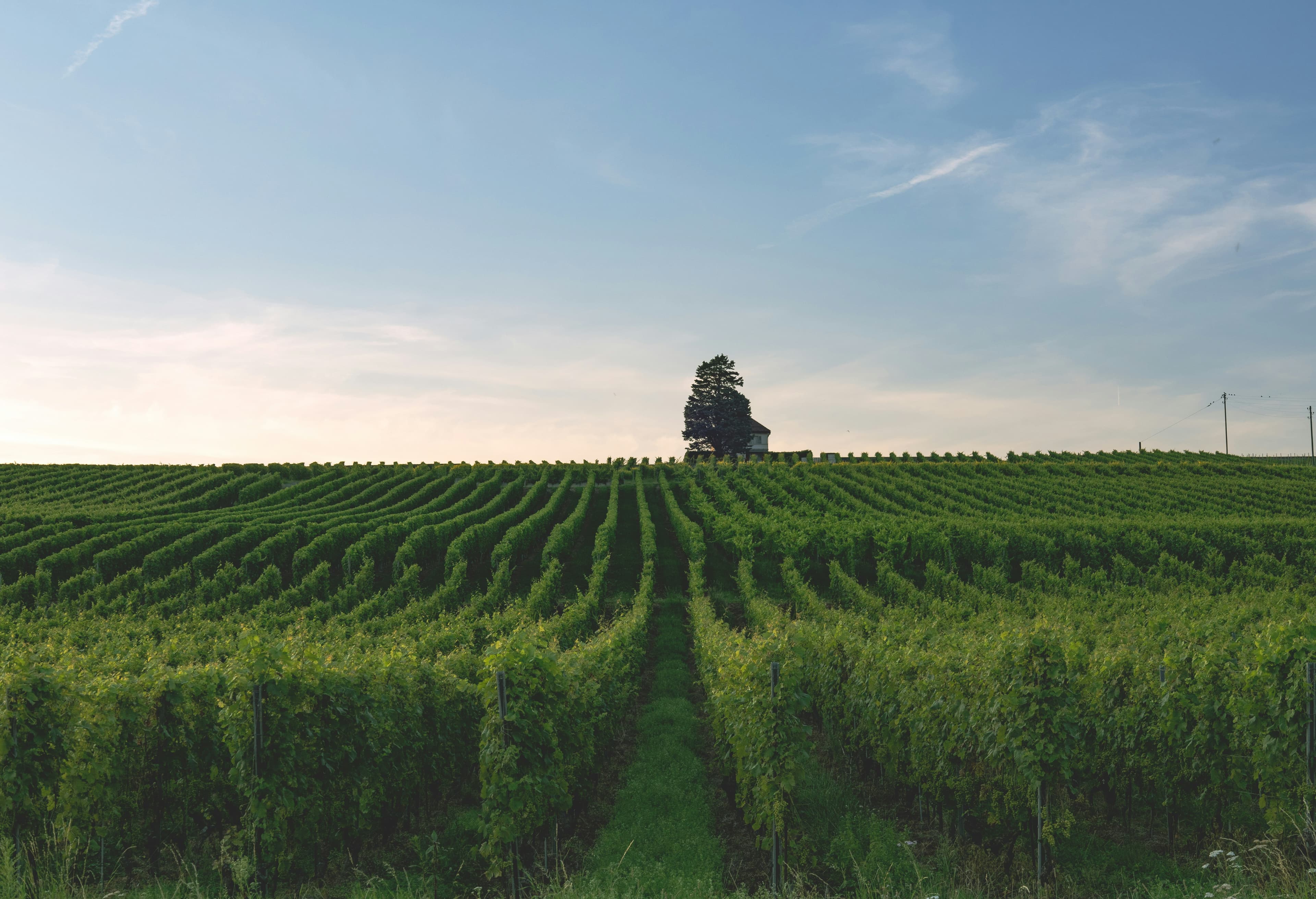 Valorisez votre engagement local de manière reconnue